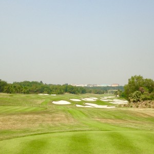 amata3 (1)