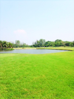 muan